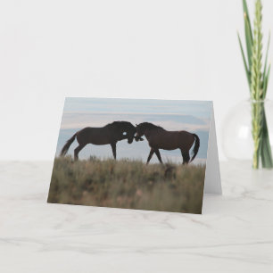 Activiteiten in de omgeving van Son & Sire Mustang Kaart