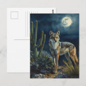 Activiteiten in de omgeving van Southwestern Coyot Briefkaart (Voorkant / Achterkant)