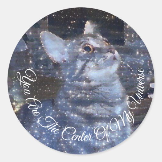 Activiteiten in de omgeving van Sparkly Cat Digita Ronde Sticker (Voorkant)