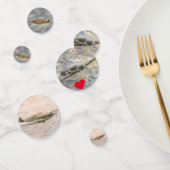 Activiteiten in de omgeving van SPITFIRE & Hurrica Confetti (Groep)