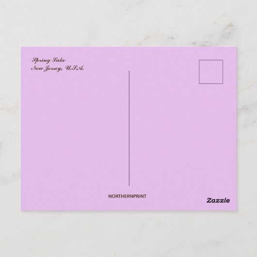 Activiteiten in de omgeving van Spring Lake New Je Briefkaart (Achterkant)