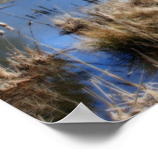 Activiteiten in de omgeving van Spring Orton Art N Poster (Hoek)