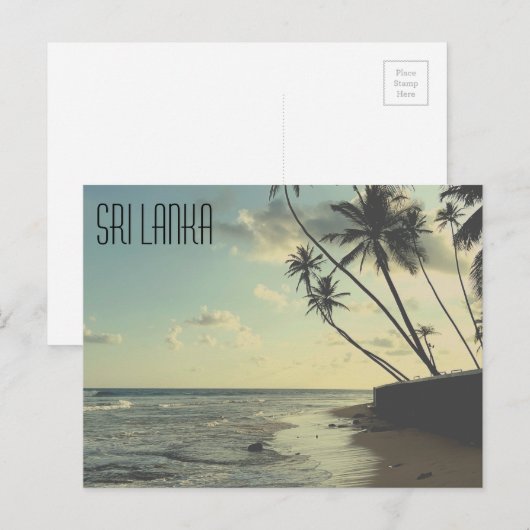 Activiteiten in de omgeving van Sri Lanka Turtle B Briefkaart (Voorkant / Achterkant)