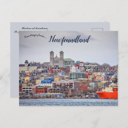 Activiteiten in de omgeving van St. John's Newfoun Briefkaart (Voorkant / Achterkant)