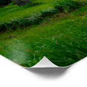 Activiteiten in de omgeving van St. Mary's Church, Perfect Poster (Hoek)