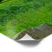 Activiteiten in de omgeving van St. Mary's Church, Perfect Poster (Hoek)