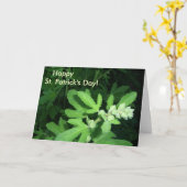 Activiteiten in de omgeving van St. Patrick's Day  Kaart (Gele Bloem)