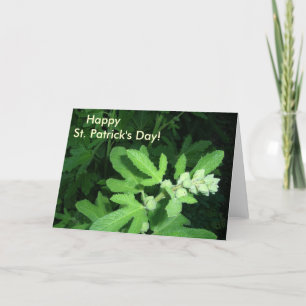 Activiteiten in de omgeving van St. Patrick's Day Kaart