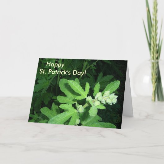 Activiteiten in de omgeving van St. Patrick's Day  Kaart (Voorkant)
