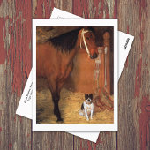 Activiteiten in de omgeving van Stables Horse Dog  Briefkaart
