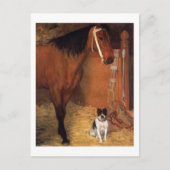 Activiteiten in de omgeving van Stables Horse Dog  Briefkaart (Voorkant)