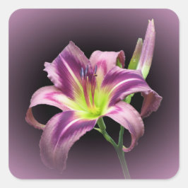 Activiteiten in de omgeving van Starman's Quest Da Vierkante Sticker