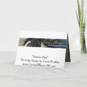 Activiteiten in de omgeving van Sunrise Wild Horse Kaart (Achterkant)