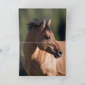 Activiteiten in de omgeving van Sunrise Wild Horse Kaart (Binnen)