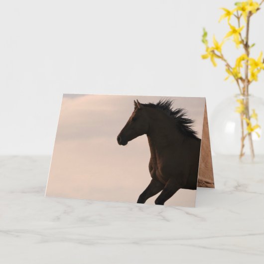 Activiteiten in de omgeving van Sunrise Wild Horse Kaart (Gele Bloem)