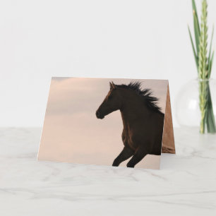 Activiteiten in de omgeving van Sunrise Wild Horse Kaart