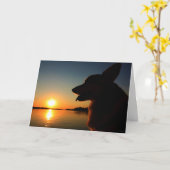 Activiteiten in de omgeving van Sunset Condolence Kaart (Gele Bloem)