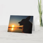 Activiteiten in de omgeving van Sunset Condolence  Kaart (Voorkant)