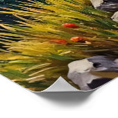 Activiteiten in de omgeving van Sunset Sanctuary:  Poster (Hoek)