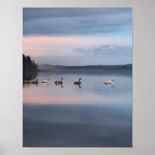 Activiteiten in de omgeving van Swan Mountains Cot Poster