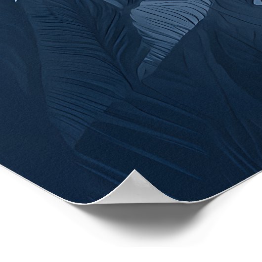 Activiteiten in de omgeving van Sydney Sunset - Op Poster (Hoek)