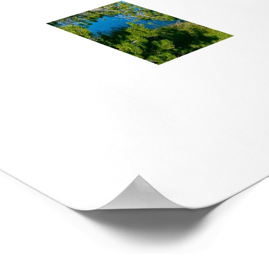 Activiteiten in de omgeving van Sylvan Lake Reflec Poster (Hoek)