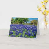Activiteiten in de omgeving van Texas Bluebonnet H Kaart (Gele Bloem)