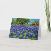 Activiteiten in de omgeving van Texas Bluebonnet H Kaart (Voorkant)