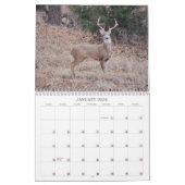 Activiteiten in de omgeving van Texas Natuur Calen Kalender (Jan 2026)