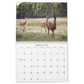 Activiteiten in de omgeving van Texas Natuur Calen Kalender (Mar 2026)