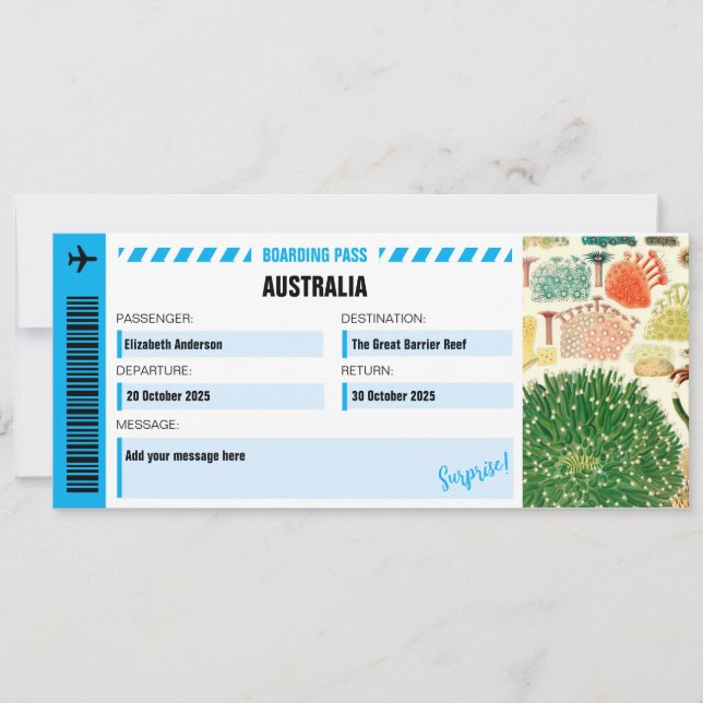 Activiteiten in de omgeving van The Great Barrier  (Voorkant)