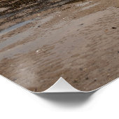 Activiteiten in de omgeving van The Regent Cinema, Perfect Poster (Hoek)