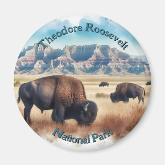 Activiteiten in de omgeving van Theodore Roosevelt Magneet