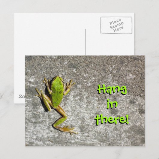 Activiteiten in de omgeving van There Frog Briefka Briefkaart (Voorkant / Achterkant)
