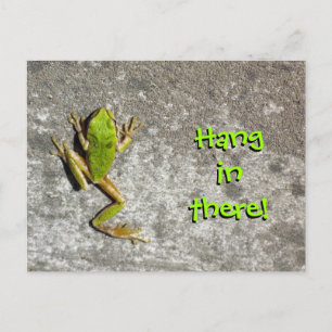 Activiteiten in de omgeving van There Frog Briefka Briefkaart