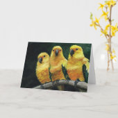 Activiteiten in de omgeving van Three Sun Conures  Kaart (Gele Bloem)