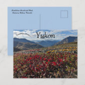 Activiteiten in de omgeving van Tombstone Territor Briefkaart (Voorkant / Achterkant)