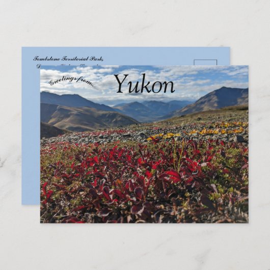 Activiteiten in de omgeving van Tombstone Territor Briefkaart (Voorkant / Achterkant)