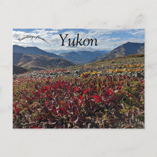 Activiteiten in de omgeving van Tombstone Territor Briefkaart (Voorkant)