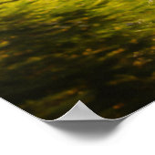 Activiteiten in de omgeving van Tranquil Woodland  Poster (Hoek)