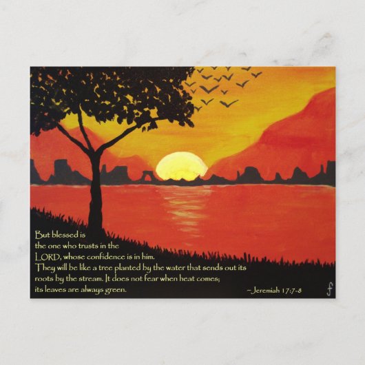 Activiteiten in de omgeving van Tree by the Water  Briefkaart (Voorkant)