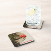 Activiteiten in de omgeving van Tropical Vibes Coa Bier Onderzetter (Rechterzijde)