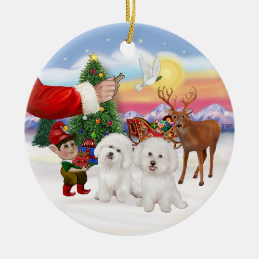 Activiteiten in de omgeving van Two Bichon Frise Keramisch Ornament (Voorkant)