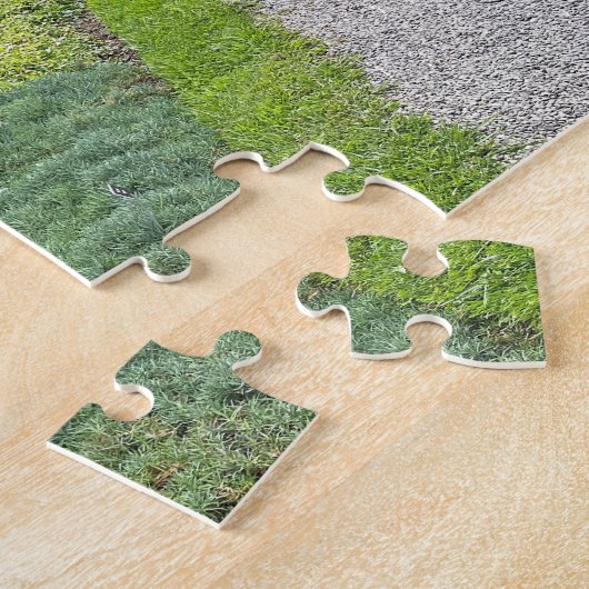 Activiteiten in de omgeving van Vanderbilt Mansion Legpuzzel (Zijkant)