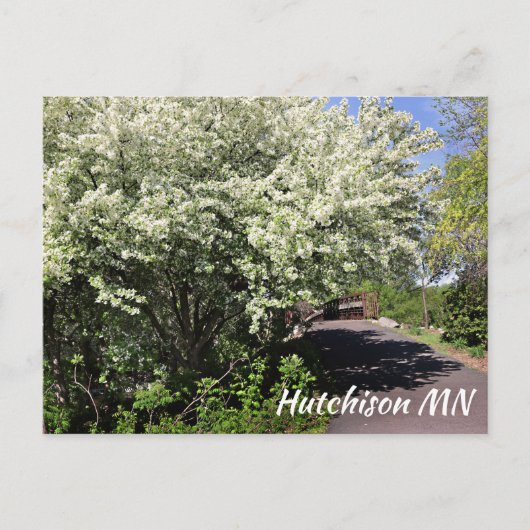 Activiteiten in de omgeving van Veterans Memorial  Briefkaart (Voorkant)