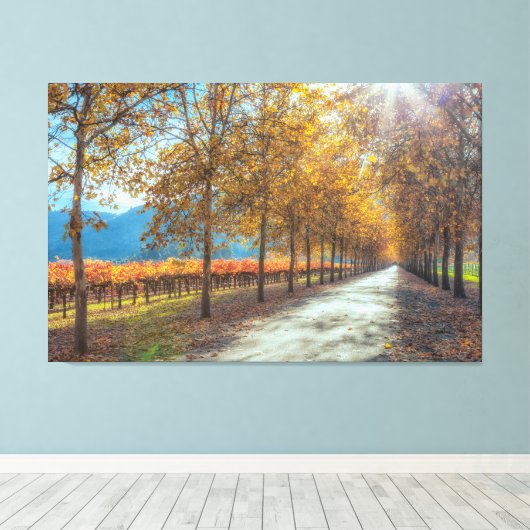 Activiteiten in de omgeving van Vineyard Autumn Canvas Afdruk (Insitu (Houten vloer))