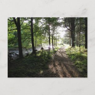 Activiteiten in de omgeving van Walk Near the Rive Briefkaart