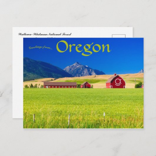 Activiteiten in de omgeving van Wallowa-Whitman Na Briefkaart (Voorkant / Achterkant)