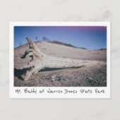 Activiteiten in de omgeving van Warren Dunes State Briefkaart (Voorkant)