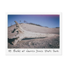 Activiteiten in de omgeving van Warren Dunes State